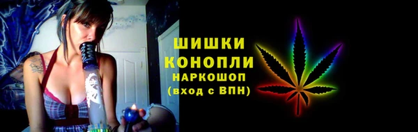 хмурый Нея