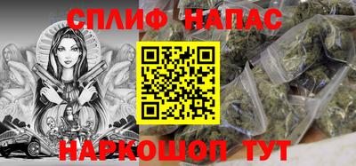 СК Балашиха