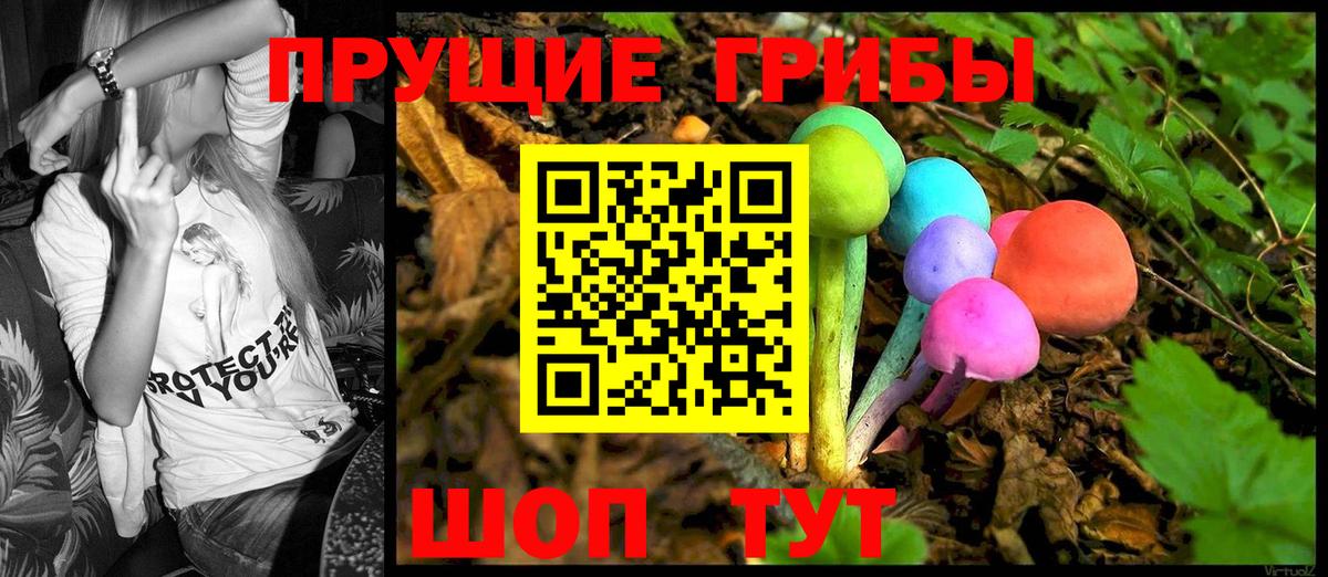 Галлюциногенные грибы MAGIC MUSHROOMS  Вход с VPN  Галлюциногенные грибы мухоморы  магазин продажи   Моздок 