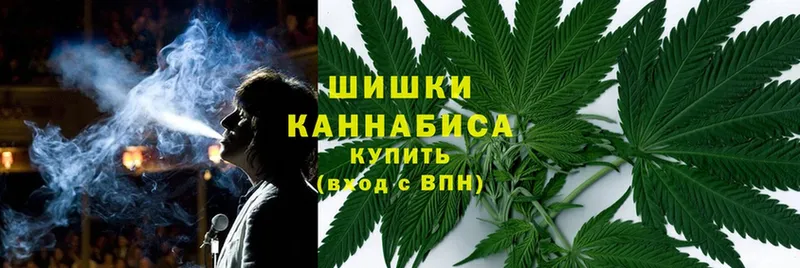 Шишки марихуана OG Kush  купить закладку  Моздок 